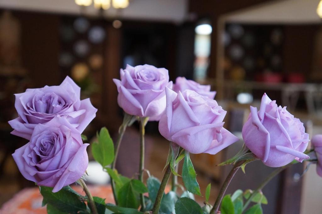Don Ramon Hotel & Spa 卡内拉 外观 照片
